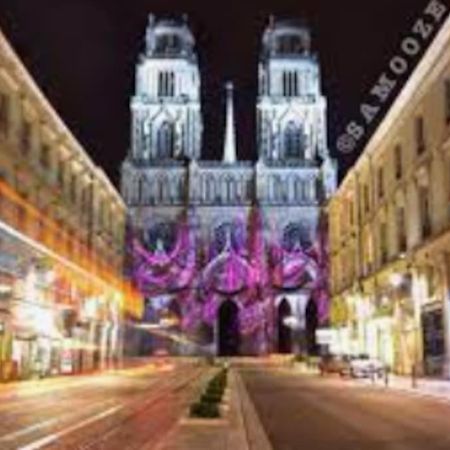 Chaleureux Appart, Proche De La Loire Avec Parking Orléans Exterior foto